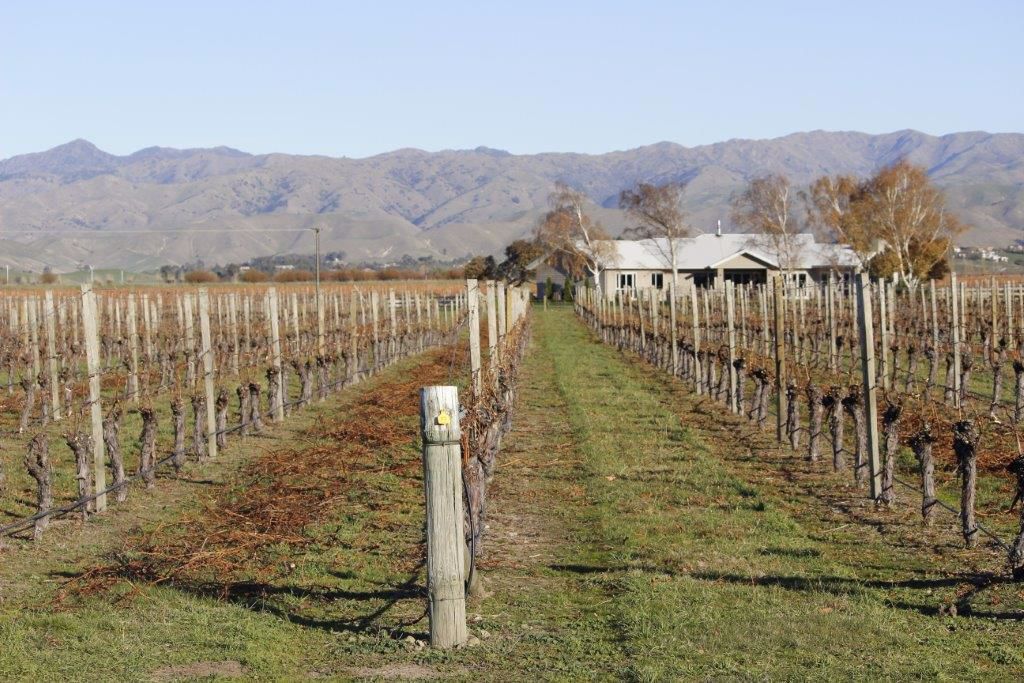 Picture for category Single Rotor Vineyard & Orchard Mowers